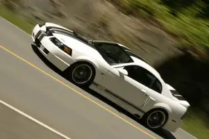 stang4.webp