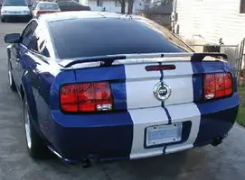 556.jpg (2).webp