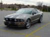 Mustang 008.GIF