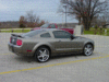 Mustang 012.GIF