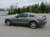 Mustang 016.GIF