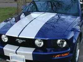 550.jpg (2).webp