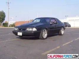 lx boys.webp