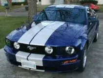 550.jpg.webp