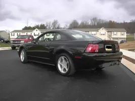 mustang rear.webp