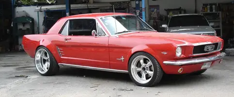 gostang2.webp