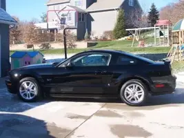 Mustang Pictures 034 compressed.webp