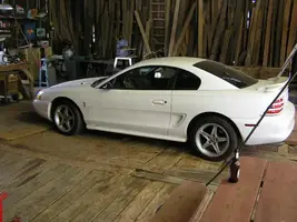 Picture Mustang pics 016.webp