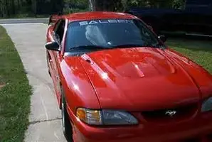 saleen 009.webp