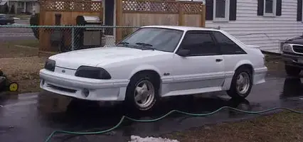 STANG1.webp