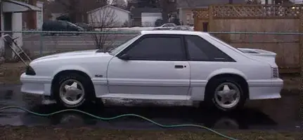 STANG2.webp