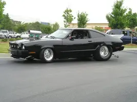 mustang2.webp
