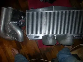 20130920_065459.webp