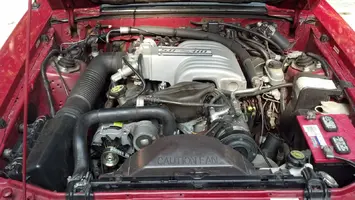 487.webp