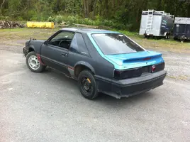 Picture 011.webp