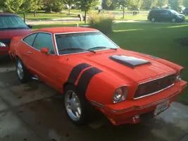 stang_outside_2.webp