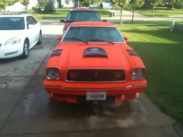 stang_outside_3.webp