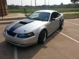 03 Mustang @ Heights Park2.webp