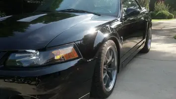 cobra3.webp
