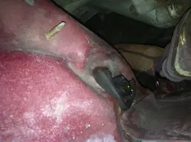 coolant leak.webp