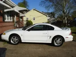 Cobra1.webp