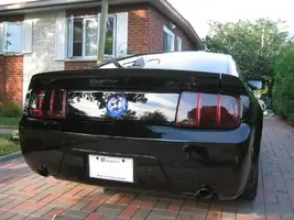 100_0037m.webp