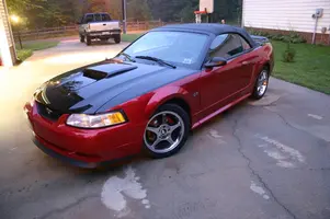 newpaint0005yd1.webp