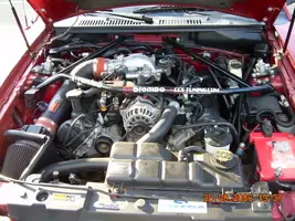 Picture013.webp