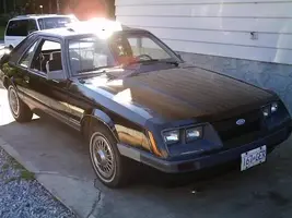 stang2.webp