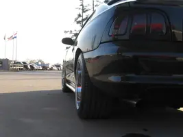 mustang003.webp