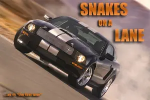 sgtsnakes.webp