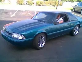 stang1.webp