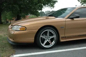 Stang4.webp