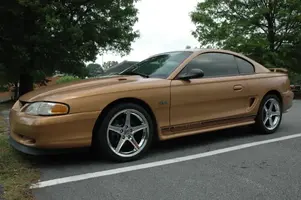 Stang1.webp