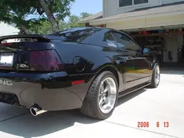 Mustang005.webp
