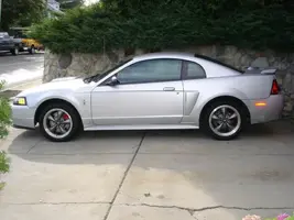 pic.webp