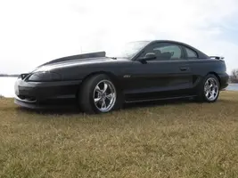 stang001.webp