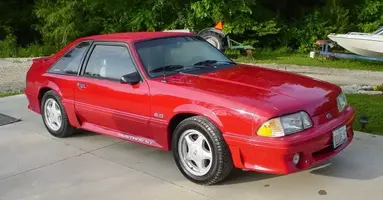 Stang001.webp