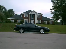 PDRM4313.webp