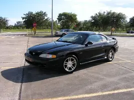 mustang2.webp
