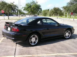 mustang4.webp