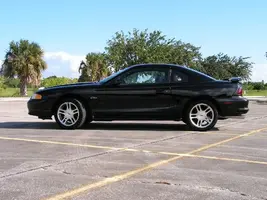mustang5.webp