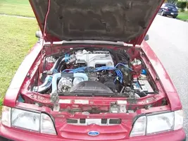 06fbd78a.webp