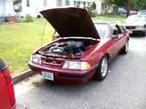 th_100_1972.webp