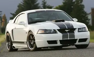 mustang_bumper_large.webp