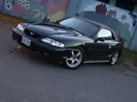 IMGP1592.webp