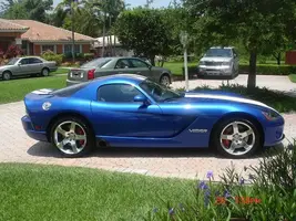 Viper_1.webp