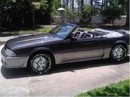 mustang.webp