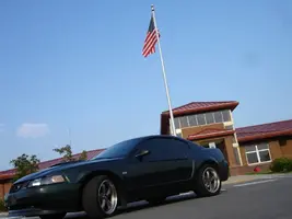Bullitt312035.webp