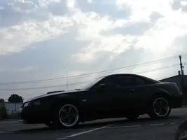 Bullitt312022.webp
